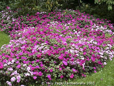 Monet's house and garden at Giverny