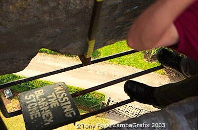 Blarney Castle and Gardens