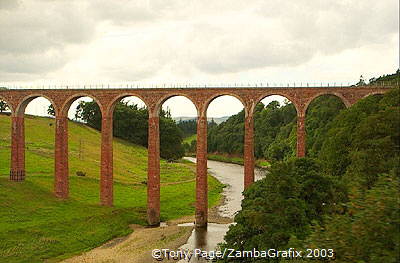 Scot_0017.jpg