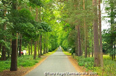 The long driveway to Blair Atholl