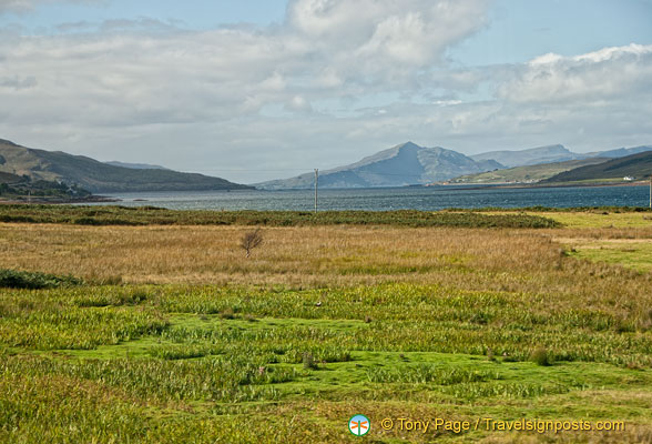 AJP 7464 (1355 visits) AJP 7464