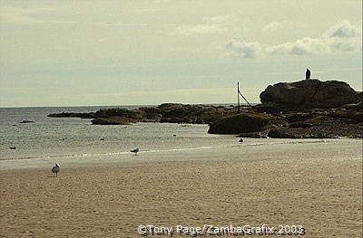 [St Andrews Links - Scotland]