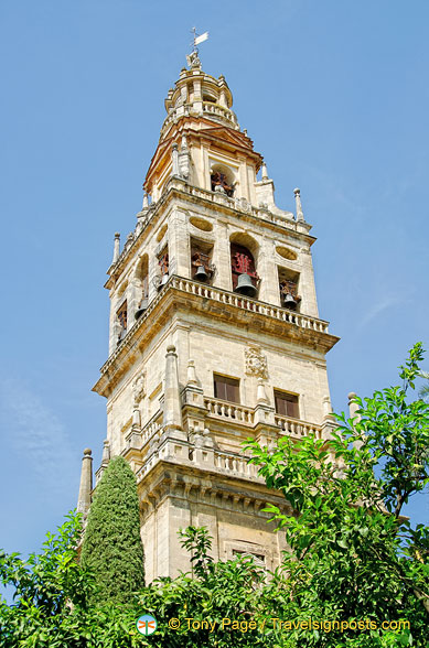AJP_5609.jpg