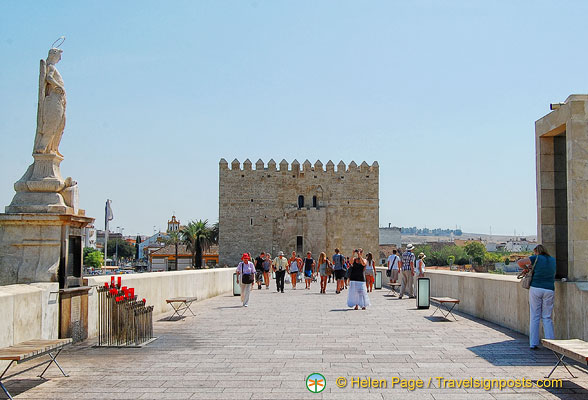 DSC 9115 (873 visits) DSC 9115