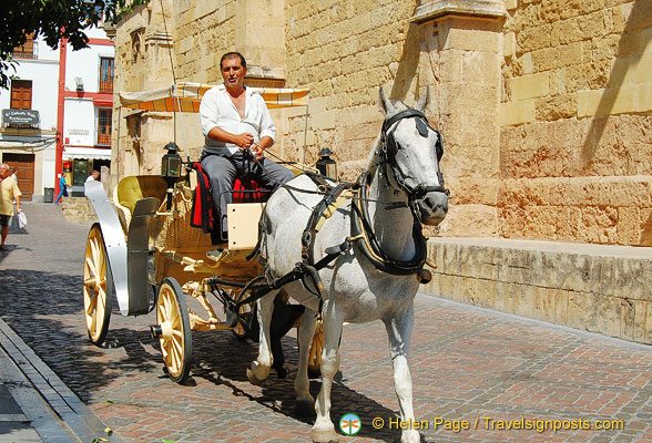 DSC 9122 (878 visits) DSC 9122