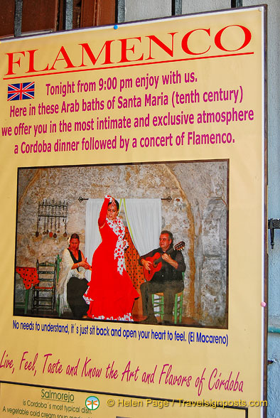 DSC 9128 (826 visits) DSC 9128