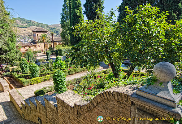 alhambra-garden_AJP_4391.jpg