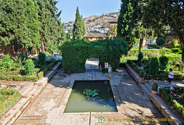 alhambra-garden_AJP_4392.jpg