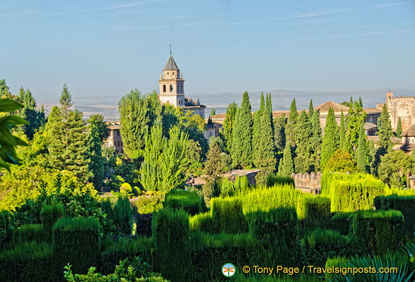 Promenade of the Cypress Trees: General view