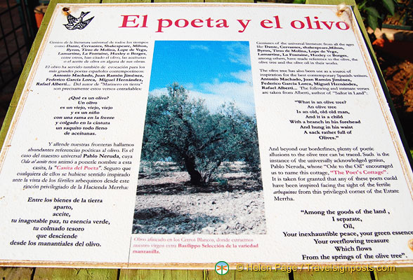 olive-oil-and-poetry_DSC_9040.jpg