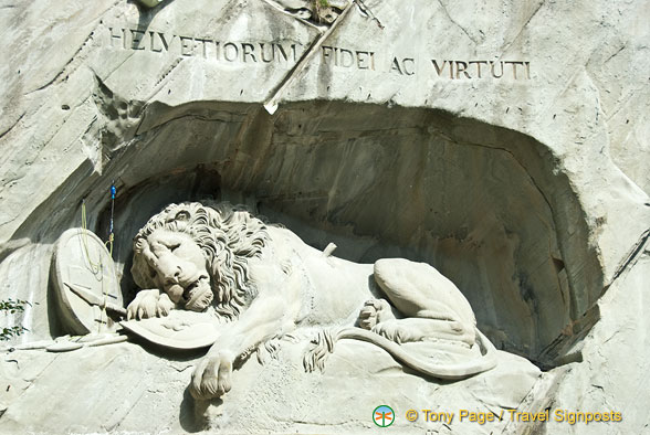 Lucerne (831 odwiedzin) Lucerne