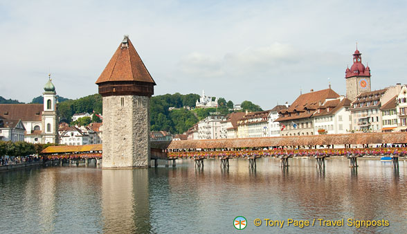 Lucerne (795 odwiedzin) Lucerne