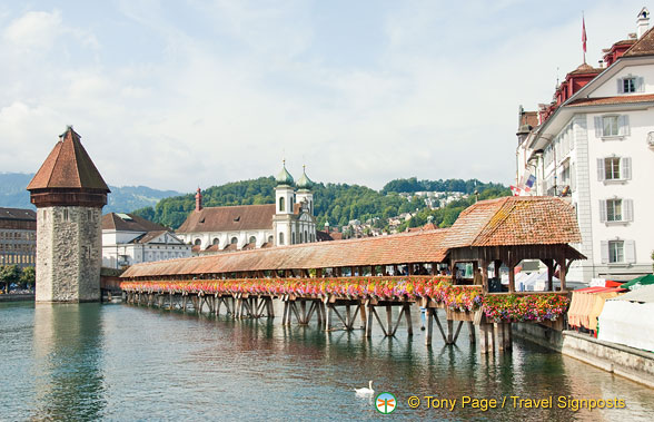 Lucerne (806 odwiedzin) Lucerne