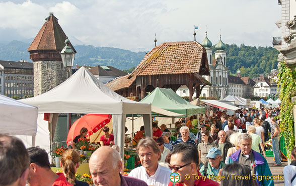 Lucerne (802 odwiedzin) Lucerne