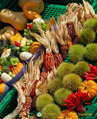 Lucerne (779 visits) Lucerne