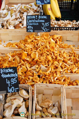 Lucerne (763 visits) Lucerne