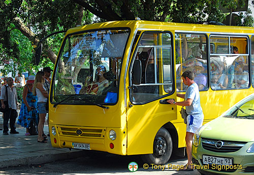 AJP_5106.jpg