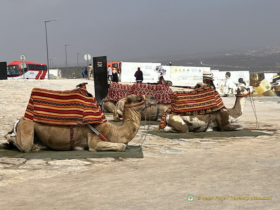 Agadir IMG 1718 wm