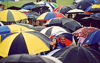 Umbrellas in the UK